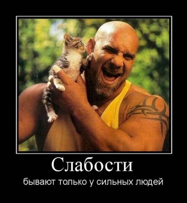 Позитивные и прикольные демотиваторы (11 фото) Позитивные и прикольные демотиваторы (11 фото)