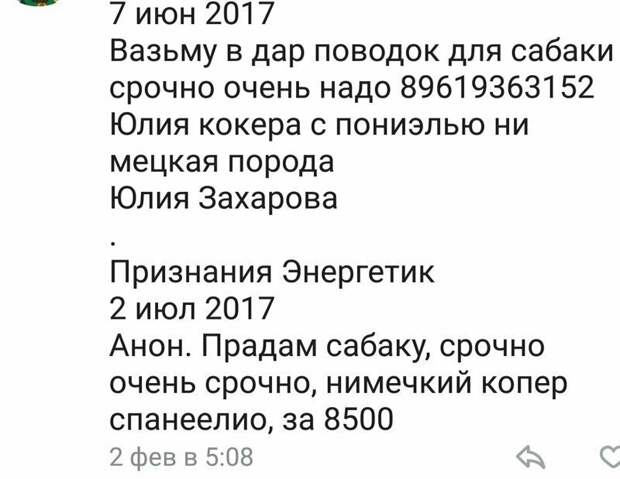 Грамотеи современности, по которым начальная школа плачет Грамотеи современности, по которым начальная школа плачет