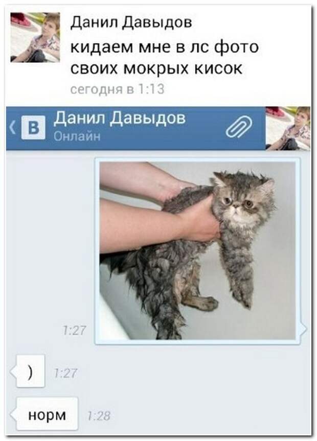 Соцсети жгут
