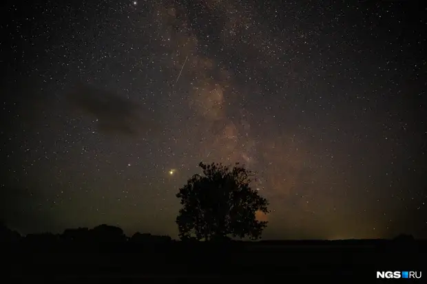 Над Новосибирском начнется пик весеннего звездопада — когда его можно увидеть