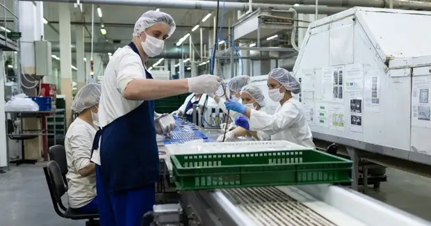 Президент ТПП рассказал о поддержке бизнеса в условиях санкций