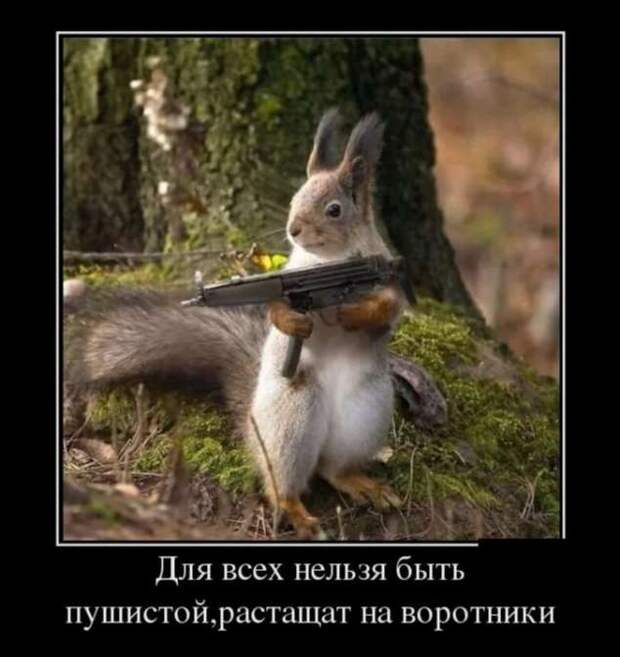 Прикольные демотиваторы с надписями. Подборка chert-poberi-dem-chert-poberi-dem-36031212082020-13 картинка chert-poberi-dem-36031212082020-13