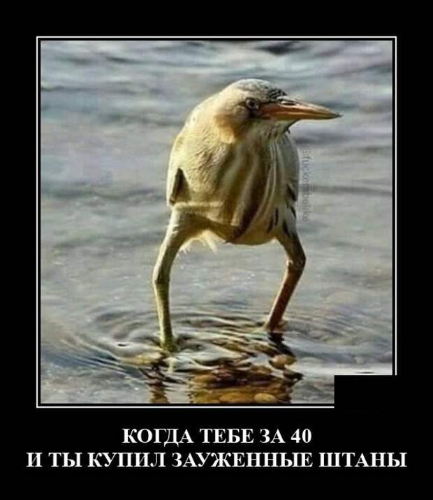 Демотиваторы 18 июня 2021