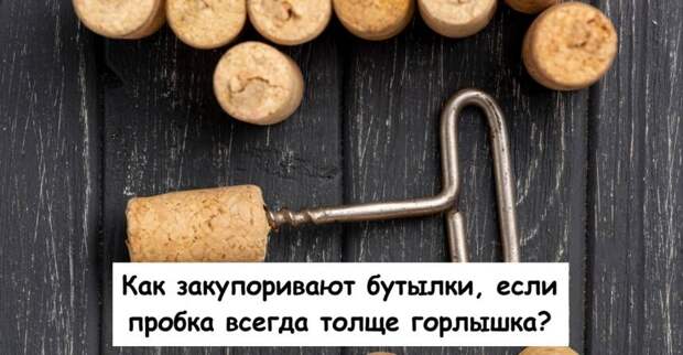 Как закупоривают бутылки, если пробка всегда толще горлышка?