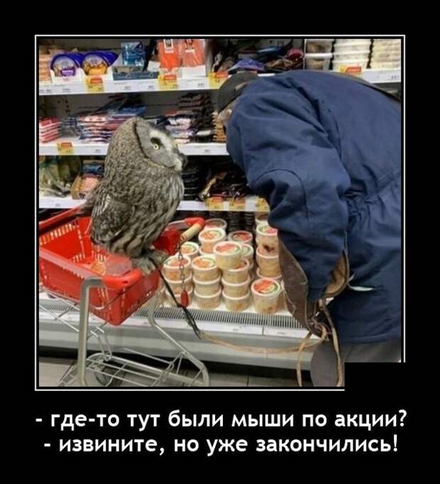 Демотиваторы 18 июня 2021