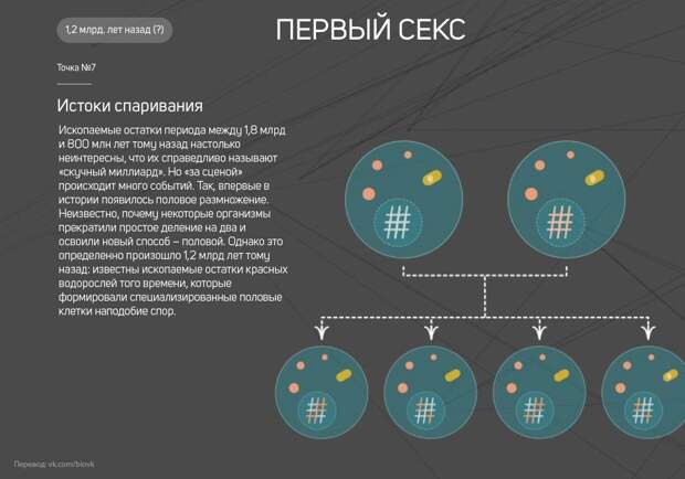 www.vsyako.net