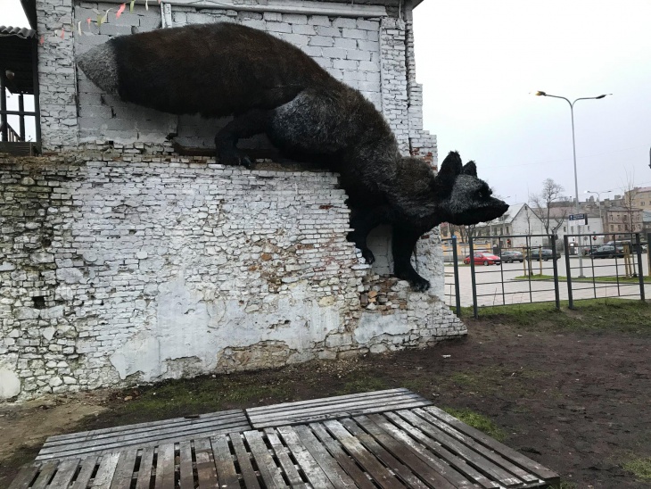 Рижский лис