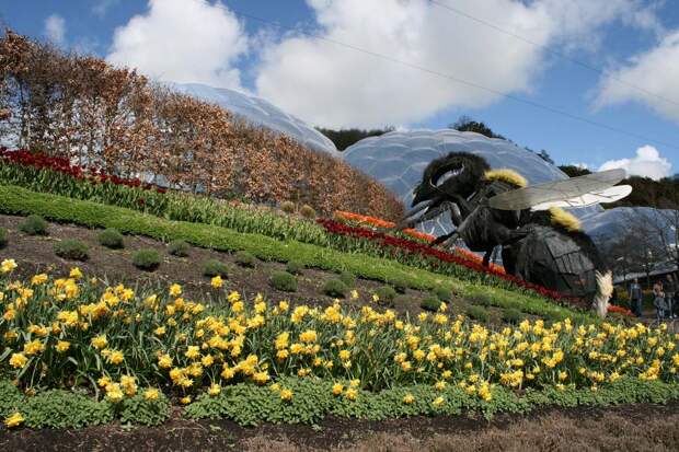 Самая большая теплица в мире The Largest Greenhouse 12 Самая большая теплица в мире