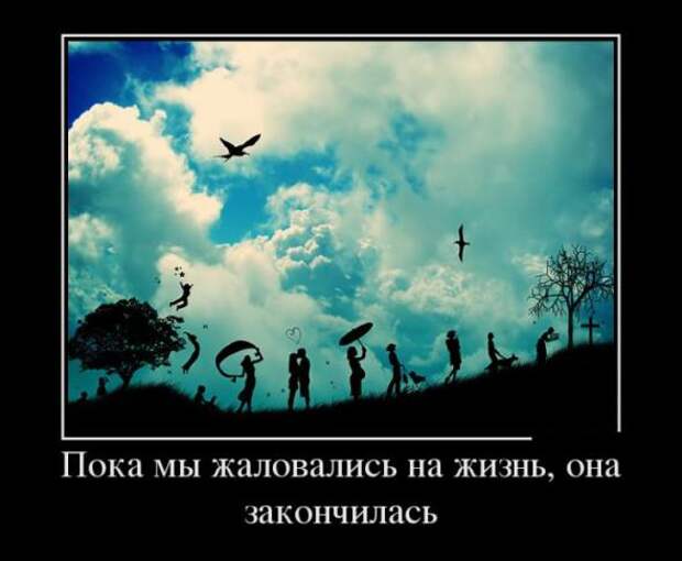 Немного новых демотиваторов