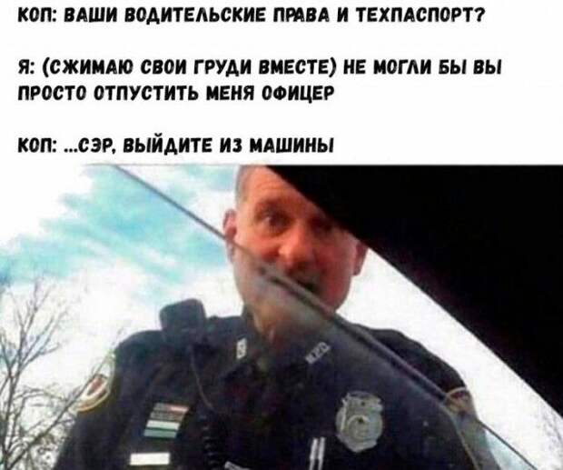 kartinok-interesnyh-prikolnyh-kartinki-smeshnye-kartinki-fotoprikoly