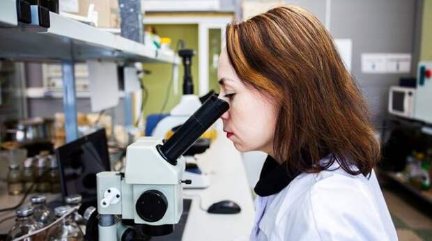 Россия близка к запуску собственной вакцины против менингококка