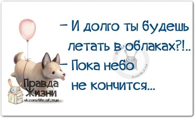 Прикольные фразочки в картинках