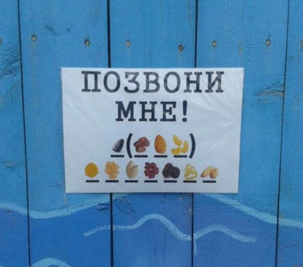 15 самых загадочных маразмов, найденных на просторах Интернета