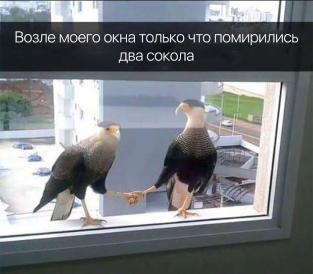 www.vsyako.net