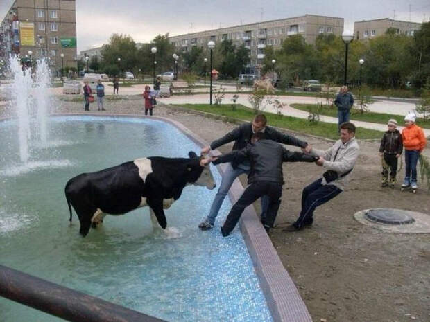 Странное мероприятие. Странное мероприятие.