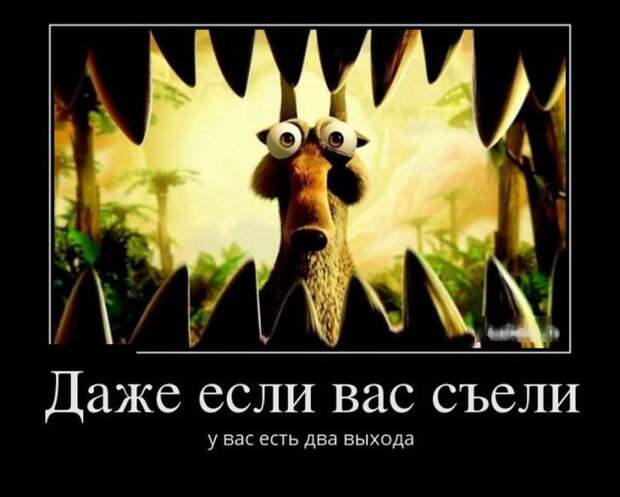 Демотиваторы