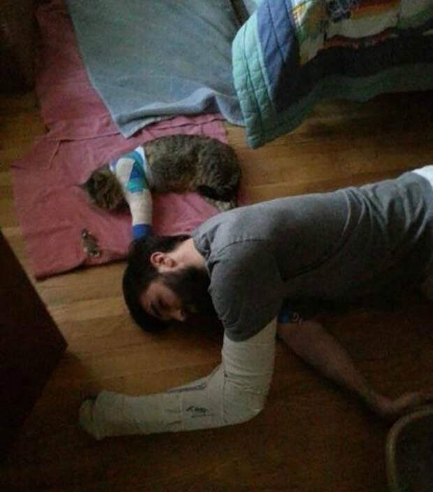 Кот и хозяин. Кот и хозяин.