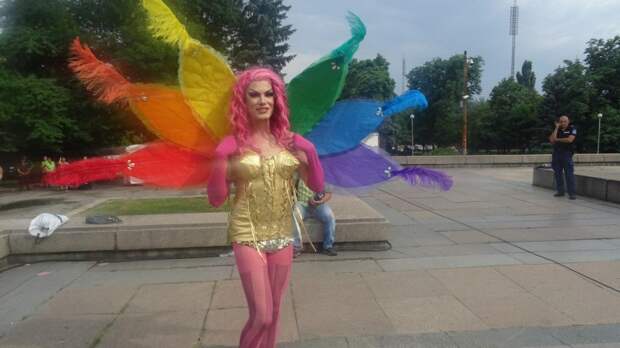 Кандидат в Госдуму от ЛДПР высказался против запрета гей-парадов