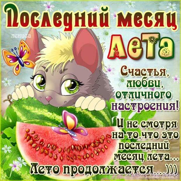 День августа