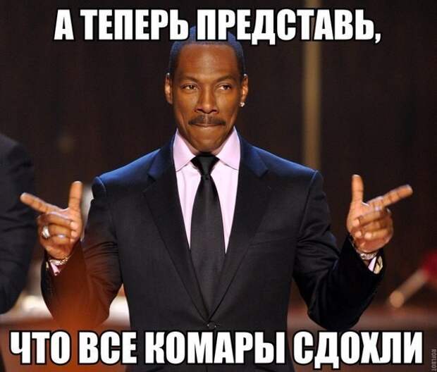Смешные картинки с надписями приколы, фото, юмор