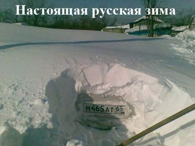 Весёлые картинки