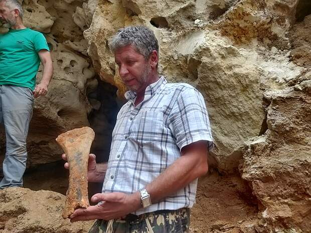 Новая находка - древняя слоновая кость