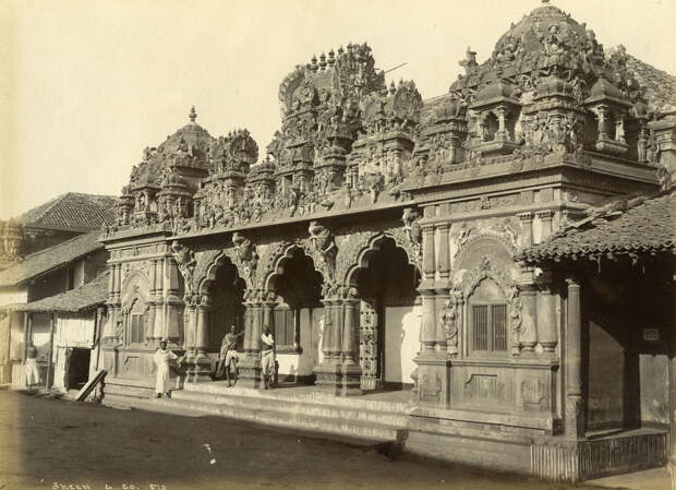 Редчайшие фотографии о повседневной жизни Шри-Ланки в 1880-х годах 3