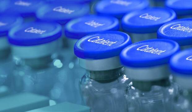 Catalent supplement