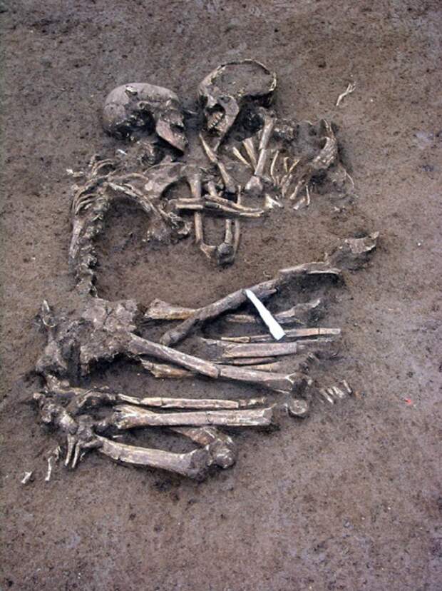 Останки, которым уже 6 тысяч лет. | Фото: img.buzzfeed.com.