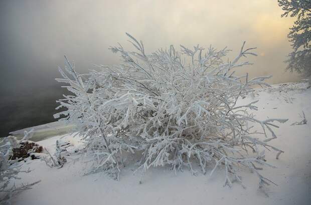 Сибирские морозы. Фотографии с берега Енисея путешествия, факты, фото