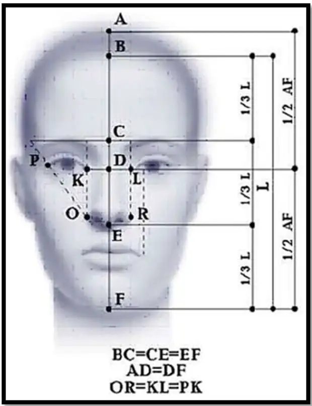 Золотое сечение лица схема