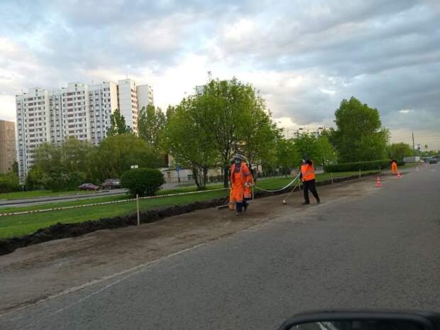Фото: управа района Отрадное alt