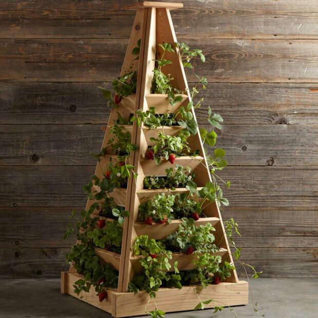 Пирамиду для выращивания клубники можно приобрести в специальных магазинах или изготовить самостоятельно