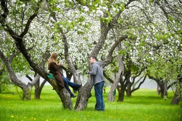 С 1 июня в Москве разрешат прогулки и спорт на свежем воздухе