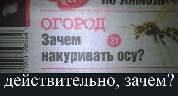 Весёлые картинки