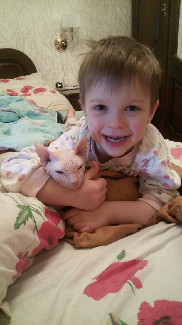 6-летний Ваня и его папа спасли уже больше 100 кошек и собак воспитание, герои, добро, животные, люди, помощь, спасение