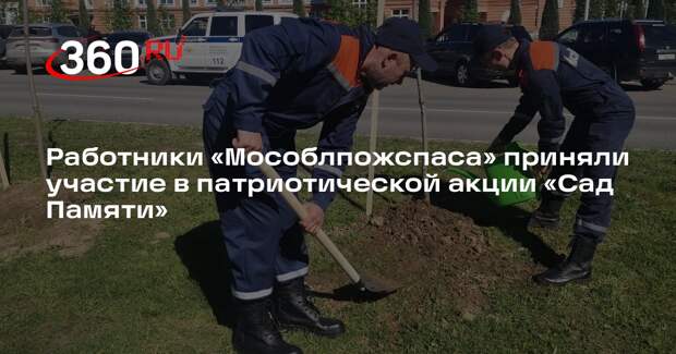 Работники «Мособлпожспаса» приняли участие в патриотической акции «Сад Памяти»