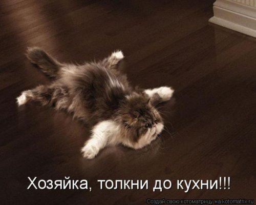 Милая котоматрица