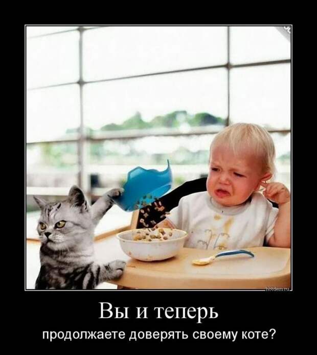 Демотиваторы...