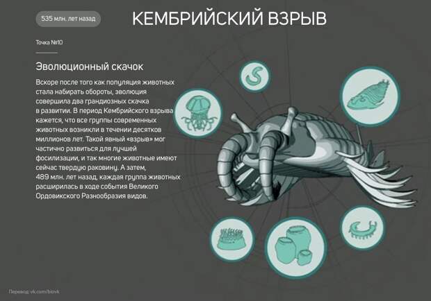 www.vsyako.net