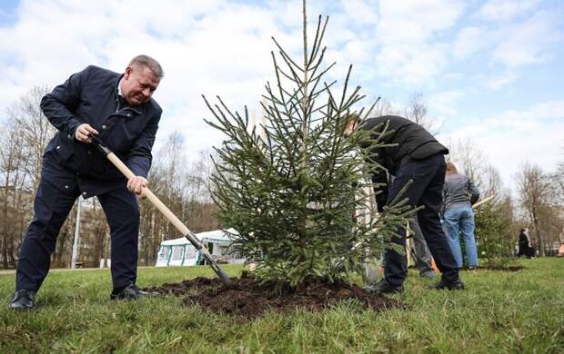 В Петербурге стартовала весенняя кампания по озеленению вместе с жителями