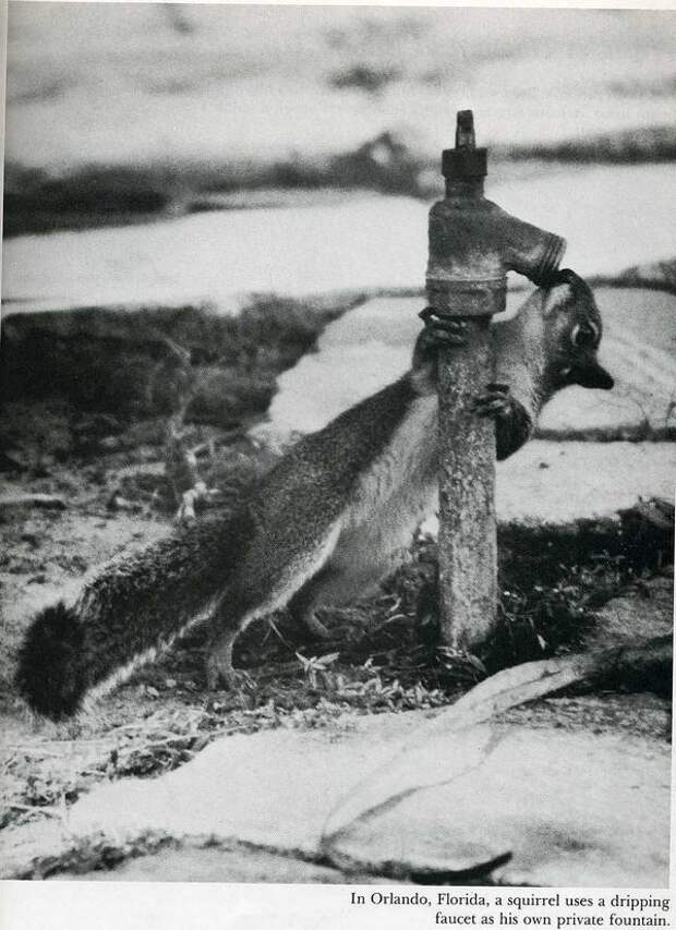 Старые фотоприколы