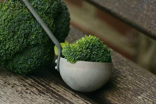 Фото: congerdesign/pixabay.com Фото: congerdesign/pixabay.com