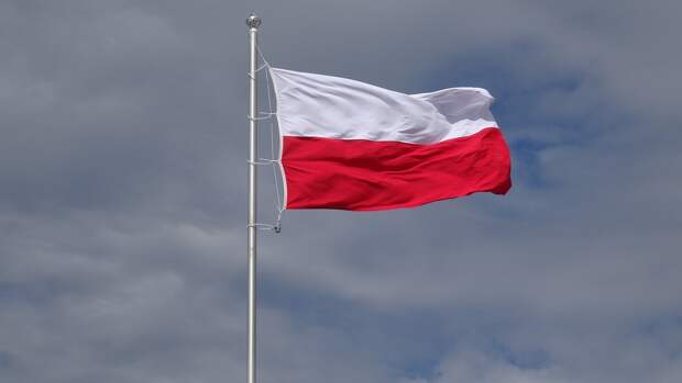 В Польше после покушения на Фицо призвали сделать выводы о накале в обществе