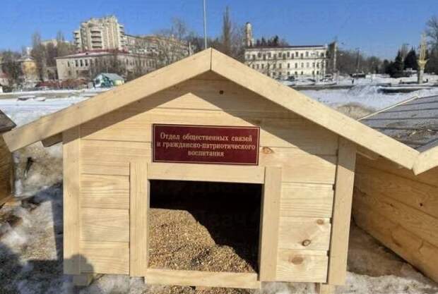 кормушка для птиц