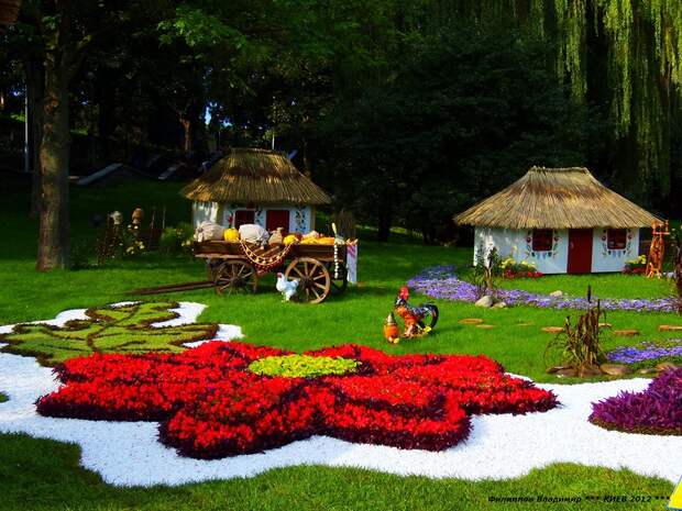 Выставка цветов 2012 в Киеве.