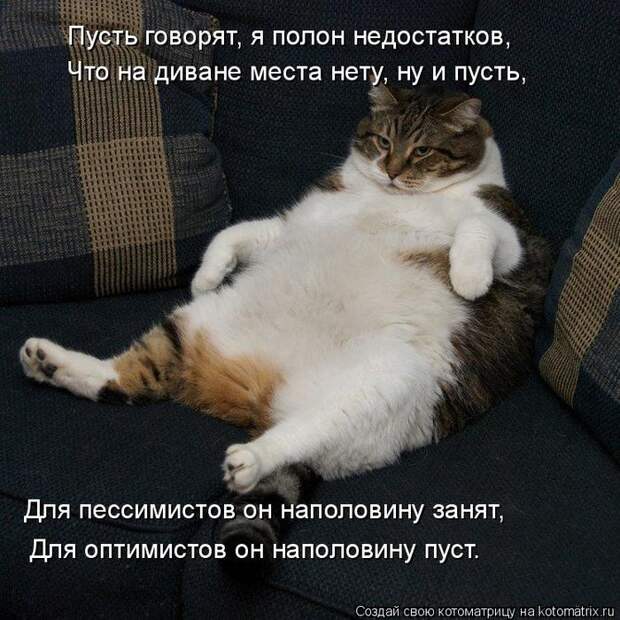 котоматрица