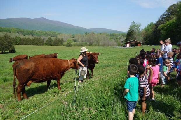 Органические фермы, экофермы, городские фермы,: Как живут американские фермеры? Опыт волонтера