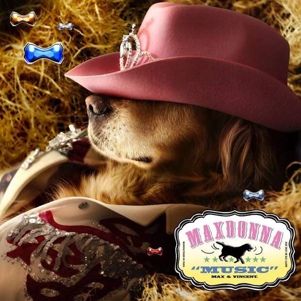 https://static.boredpanda.com/blog/wp-content/uploads/2018/07/iconic-madonna-scenes-dog-recreation-maxdonna-vincent-flouret-5b5ae47758581__700.jpg