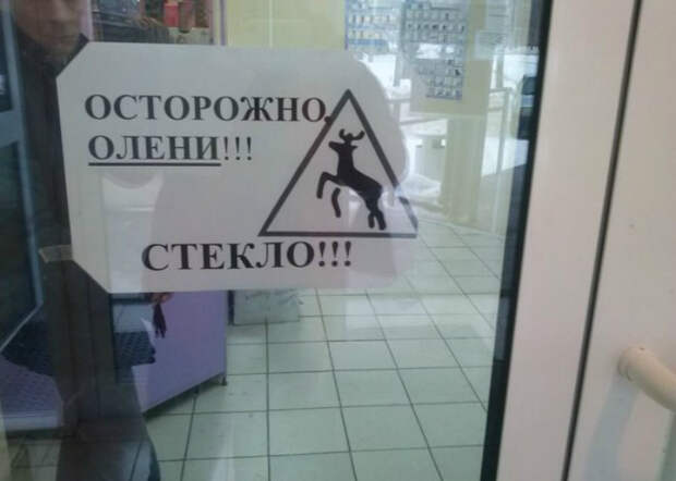Олени и стекло. Олени и стекло.